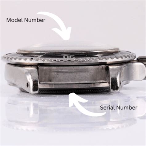 tudor watch serial number database